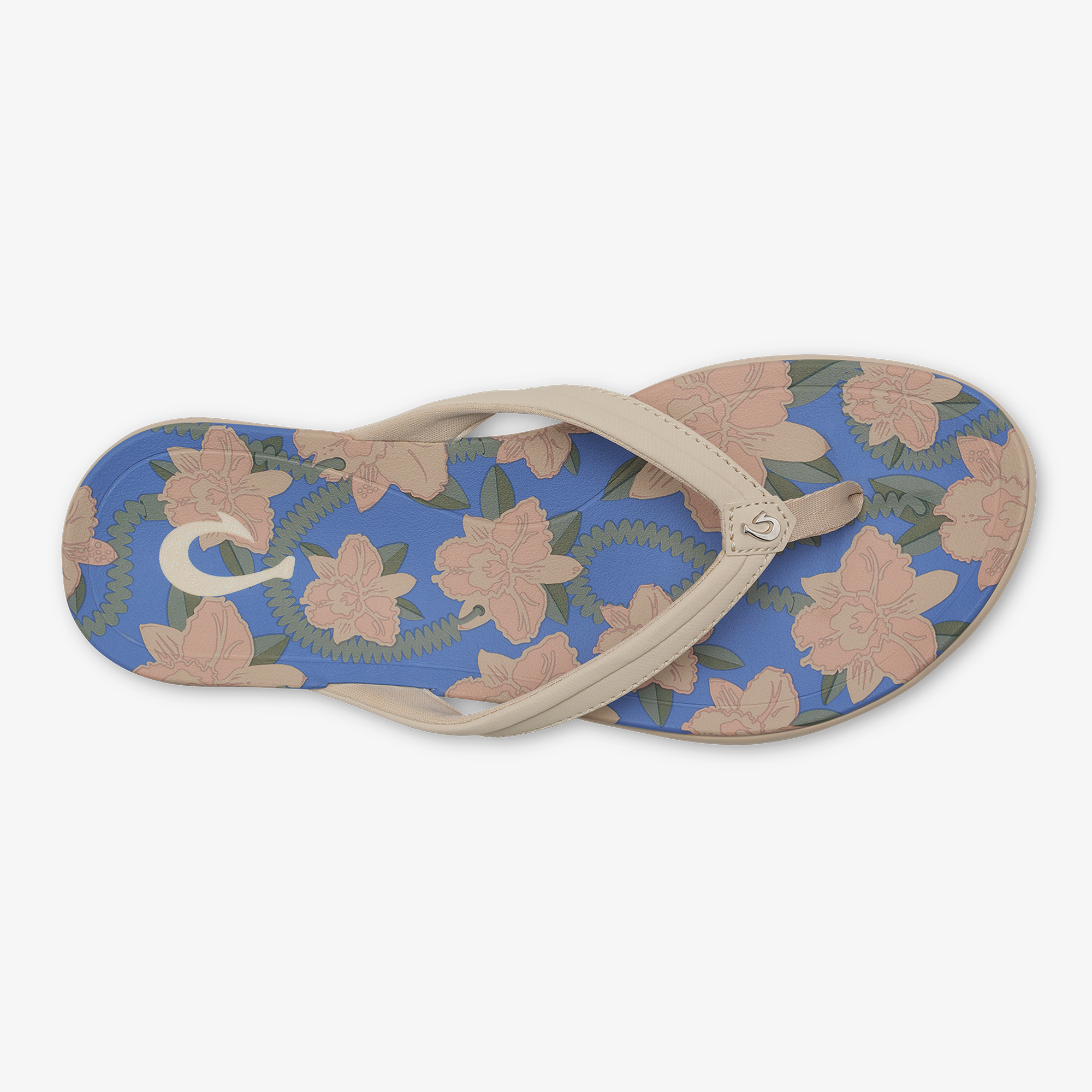 Ho'??pio Malu?? - Tapa / Marine Blue - Image 5