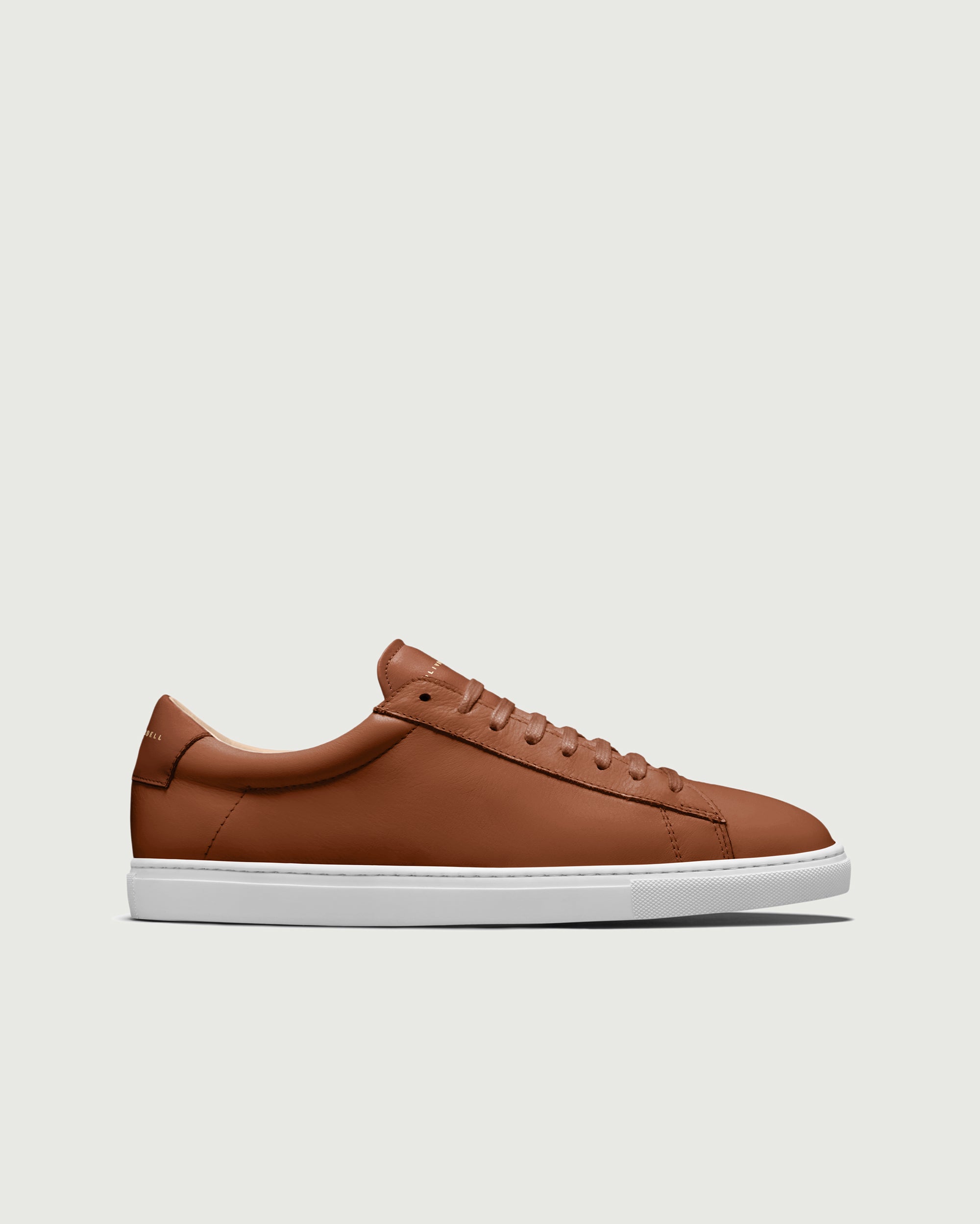 Low 1 | Lion
