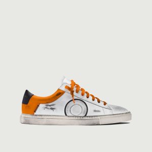Low 1 | Starfish